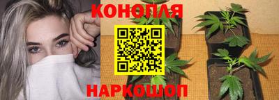 марихуана Кизилюрт