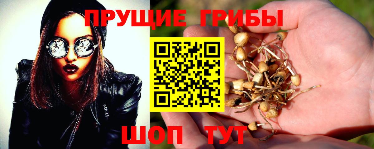 Псилоцибиновые грибы GOLDEN TEACHER  Вход с VPN  Галлюциногенные грибы MAGIC MUSHROOMS  Кулебаки 